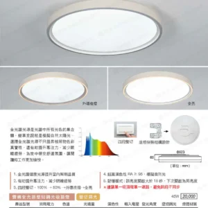 LED-22-dancelight-158