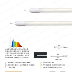 LED-22-dancelight-360