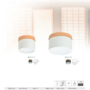 N01-大學(九)-(商空照明)-154