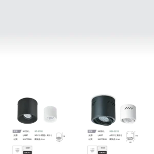 N01-大學(九)-(商空照明)-159