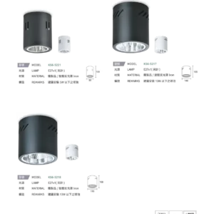 N01-大學(九)-(商空照明)-160