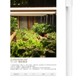 N02-March-(商空照明)-119