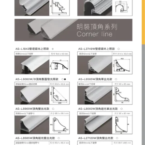 O38-AS-(商空照明)鋁條燈.矽膠燈-智能控制型錄-09