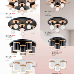 K01-SH-3金雙鶴SH燈飾-309