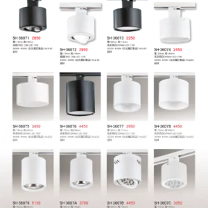 K01-SH-3金雙鶴SH燈飾-607