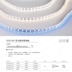 dancelight-design-2025-10