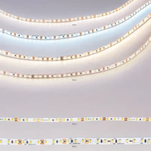 dancelight-design-2025-11