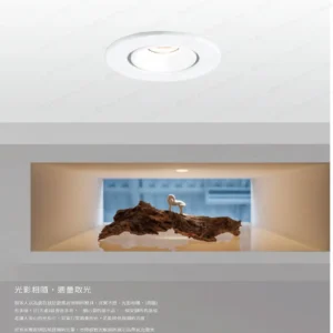 dancelight-design-2025-111