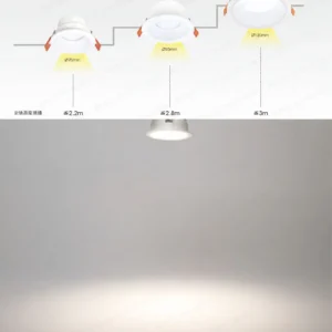 dancelight-design-2025-125