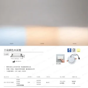 dancelight-design-2025-137