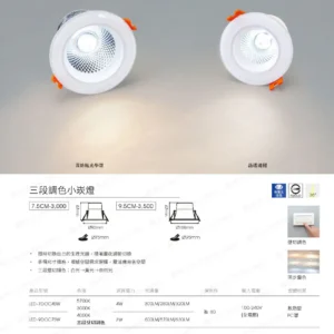dancelight-design-2025-138
