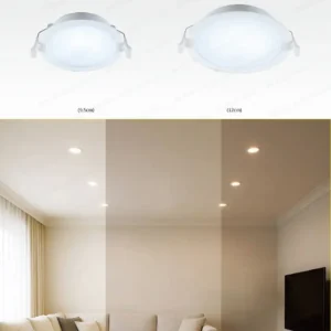 dancelight-design-2025-151