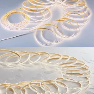 dancelight-design-2025-17