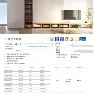 dancelight-design-2025-191