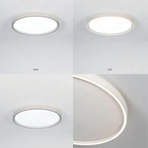 dancelight-design-2025-205