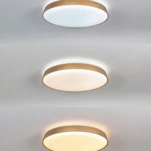 dancelight-design-2025-209