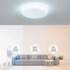 dancelight-design-2025-213