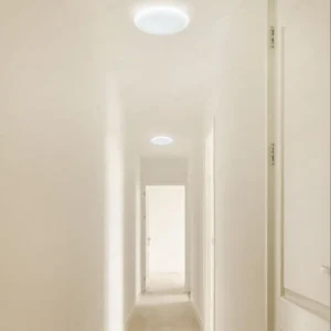 dancelight-design-2025-215