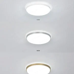 dancelight-design-2025-217