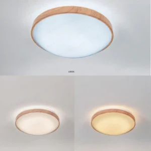 dancelight-design-2025-221