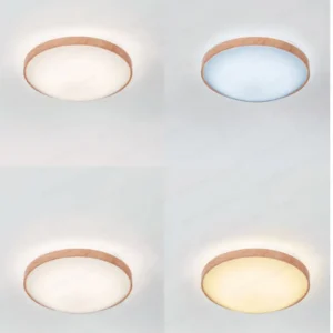 dancelight-design-2025-223