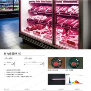 dancelight-design-2025-253