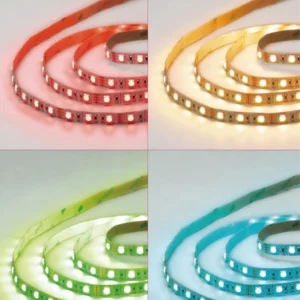 dancelight-design-2025-27