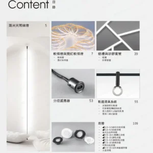 dancelight-design-2025-3