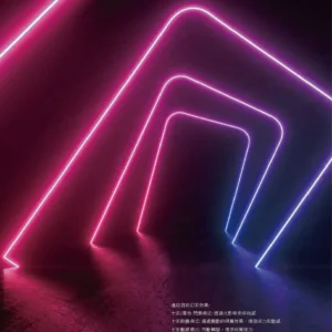 dancelight-design-2025-35