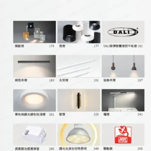 dancelight-design-2025-4