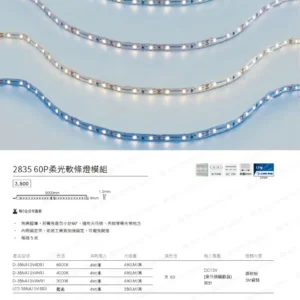 dancelight-design-2025-9