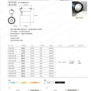 dancelight-design-2025-92