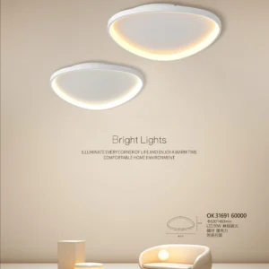 K01-OK3-私房菜-精品燈飾-169