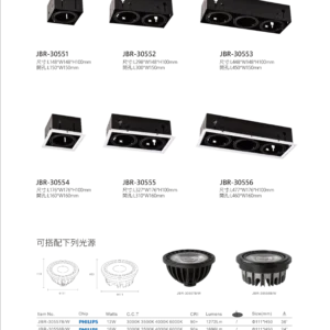 K01-OK3-私房菜-精品燈飾-239