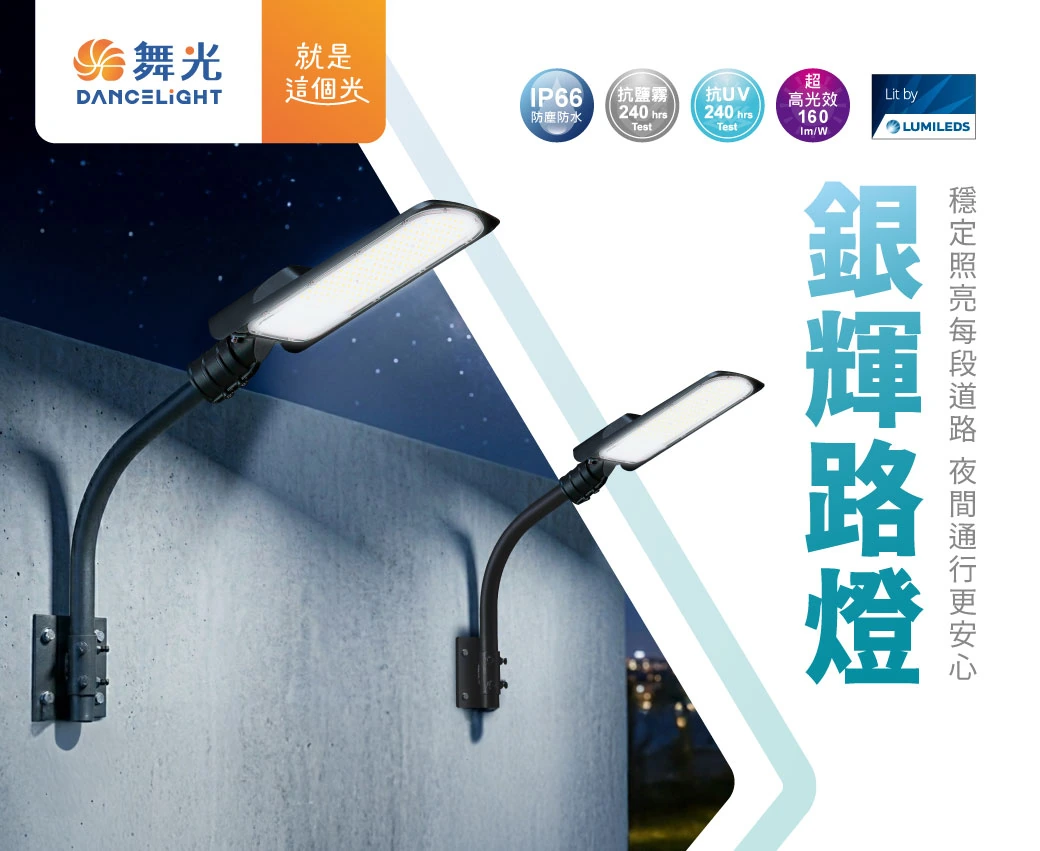 舞光 100W 銀榕路燈-H04-OD-10072R3