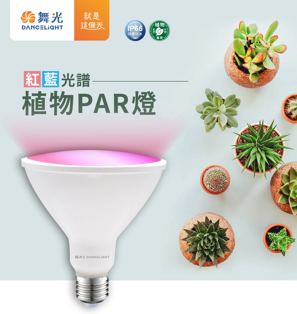 舞光 紅藍光譜/全光譜植物 PAR 燈-LED-PAR3824-RB