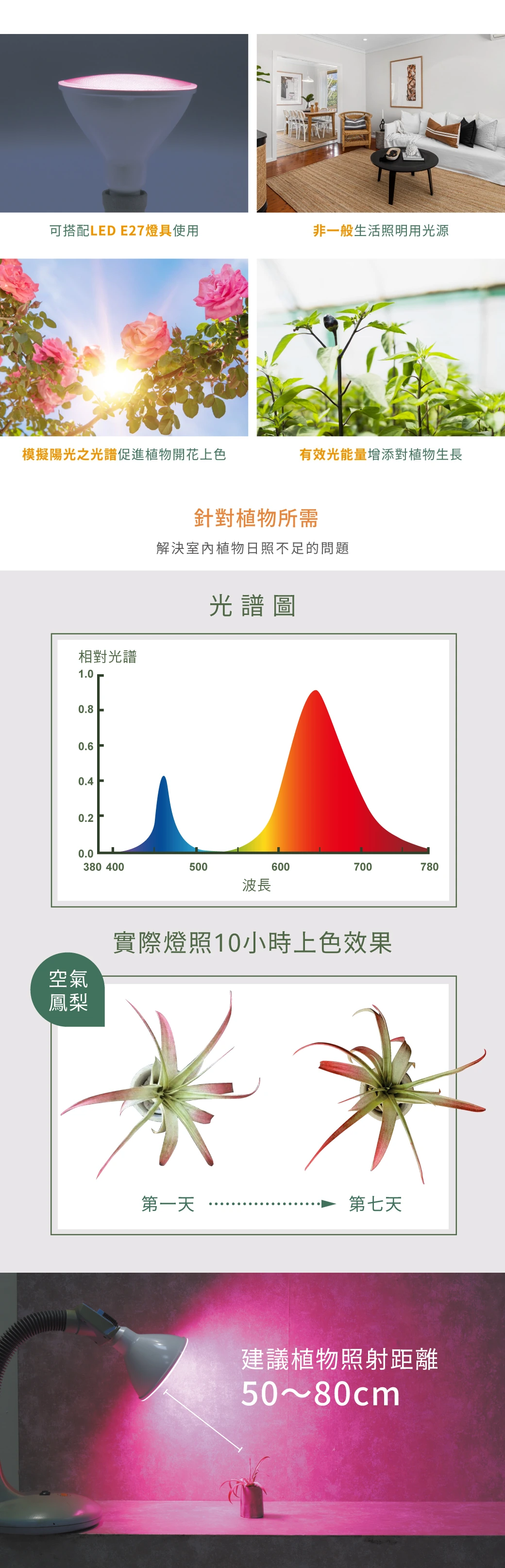 舞光 紅藍光譜/全光譜植物 PAR 燈-LED-PAR3824-RB