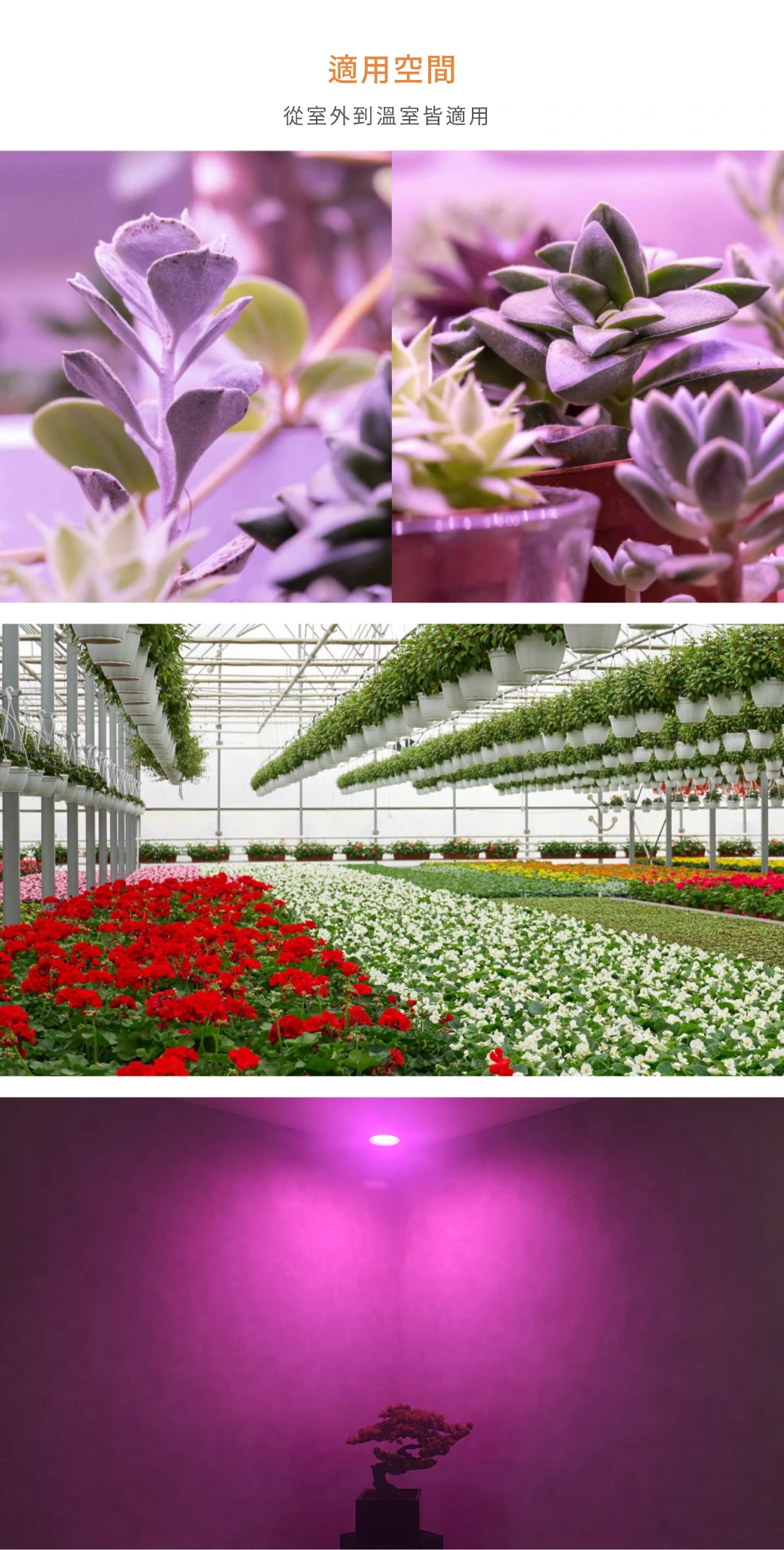 舞光 紅藍光譜/全光譜植物 PAR 燈-LED-PAR3824-RB